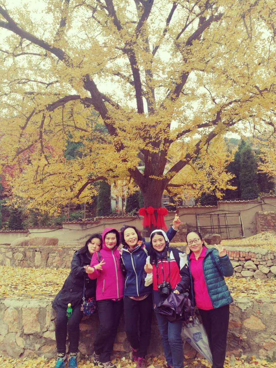 Da9ZguIJ7M5Y1wusChtb-4LpuHY_H-1he4VcDU1q-5NFEDCay8pHo2sphf0cRznD