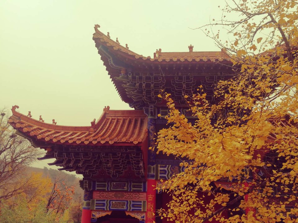 vkWE9MF3_D1VzdsRpEOqlNafHw2Fe5otbJawiPoreI3RJSj2ere9ik76UUUvin0C