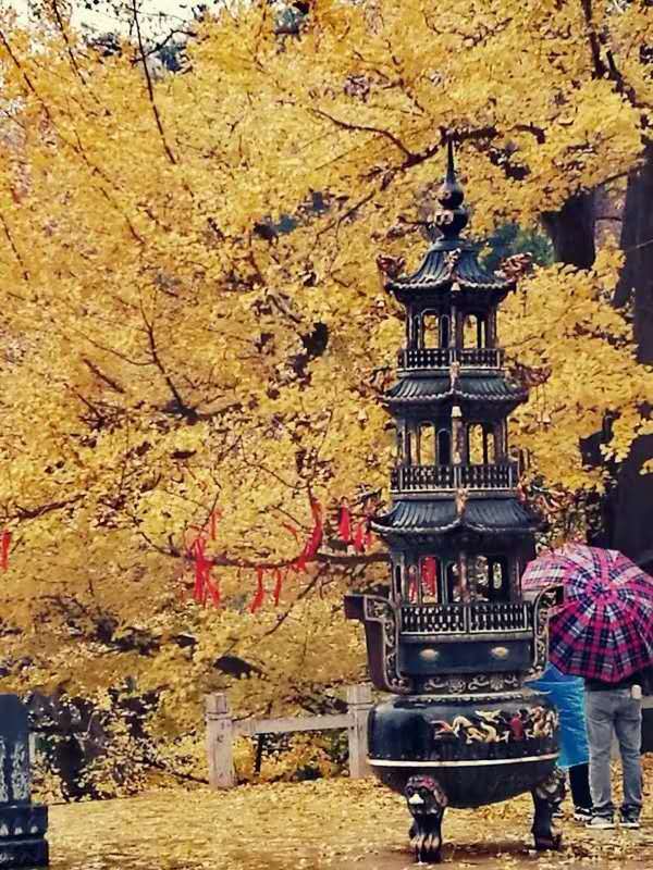 7glI4Yd5PtYhSv1wBgN1-5rPAxhv67r7XM6ALsSFJm6oo4r-slNLqgucVOwBtEOA