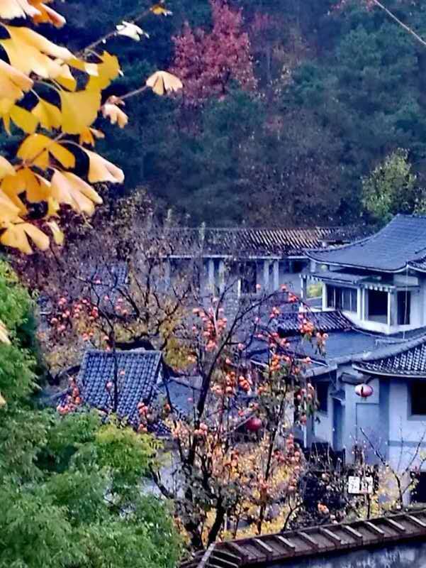 LGtD0umWh8xiBE1gbOYp9Hvs_x84PBkv_ssgP_LPfS0WGVAUcEJ1NSBkylAJ3h5s