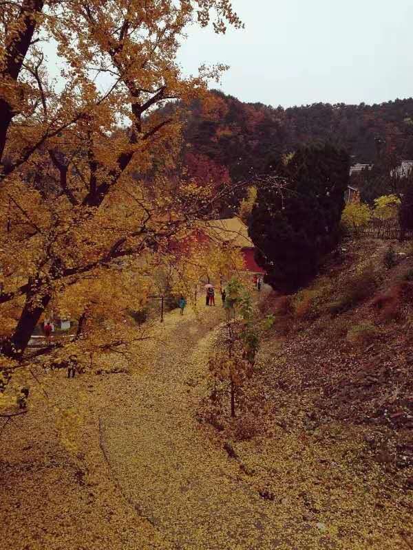 uml536MaMiATjZFjLcgRkm0HN5pA-mjbBJMbSv50i5MuHmplTed3B6nTQ9OEUEUr