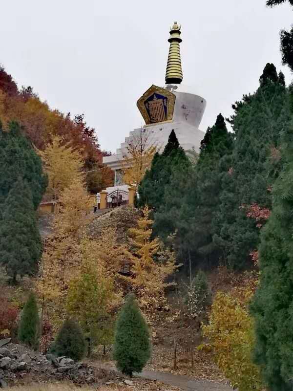 RxlnAsVvdmixNrBYpPlwCGw-Yg_zOMRt2OzN-1SSIv1-mmLTknTj7Zrw8_AbJHHp