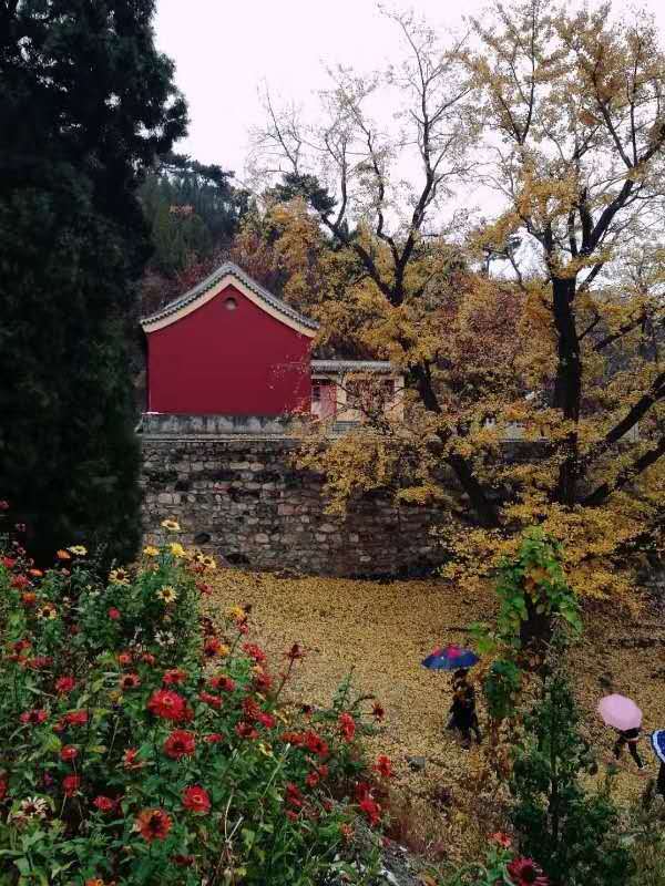 9UPenOekSvogt5sUUPWvGM9dYNdkHFH8lOdmgyD2ajWQpYkpMA3lpPRjvwg7TWhW