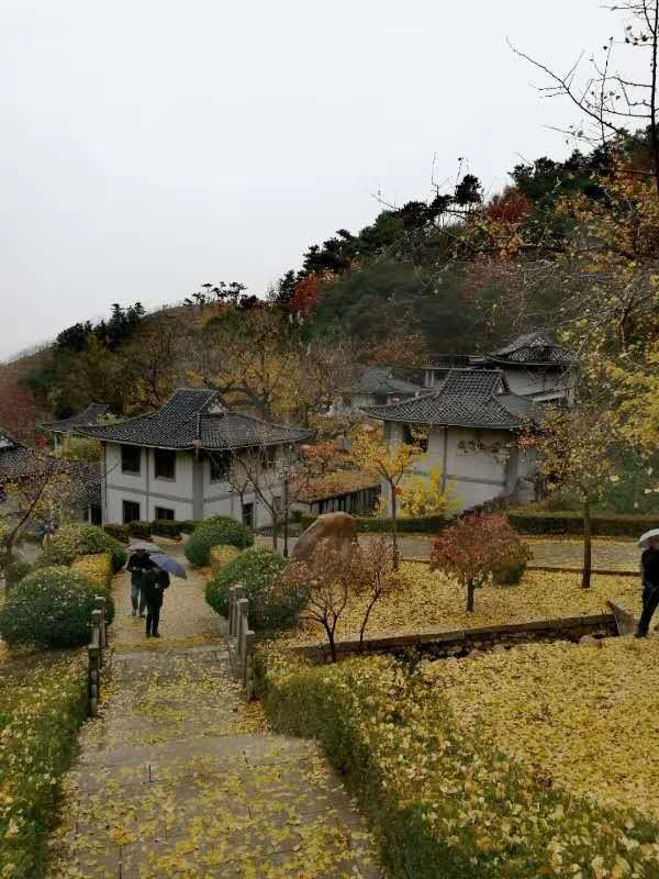 xqmLnMpIdjuT77WNouNQF_Nkue4cMn7RPf2Q3KTYhxOBSCvTua0eZZOh_FHmTR7K