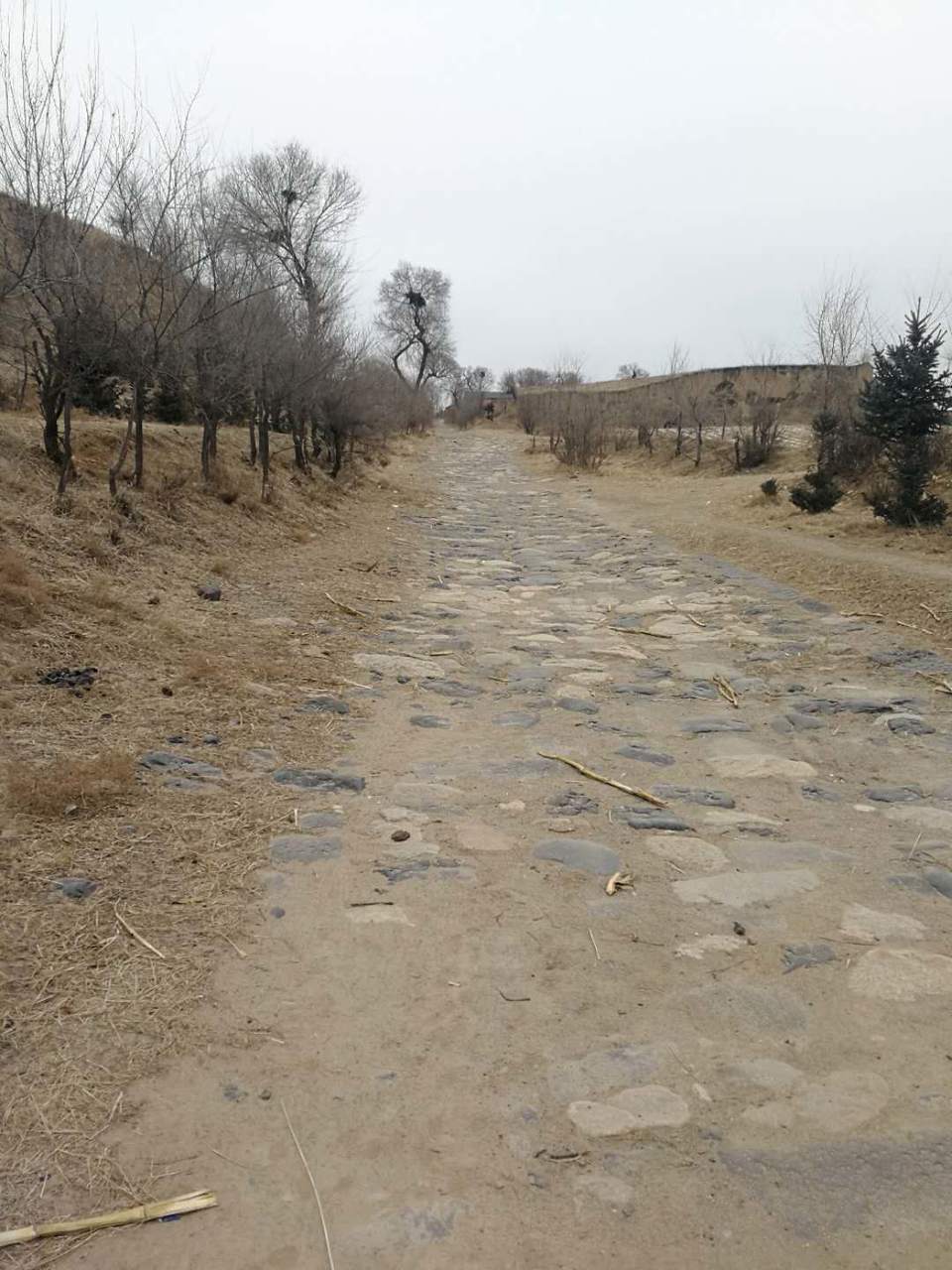 TBXoEh9XT01t4vp-GL08s-9vkBnyZvnSYy_BgnAqzUW7uATrLbhL7V150SP72KNR