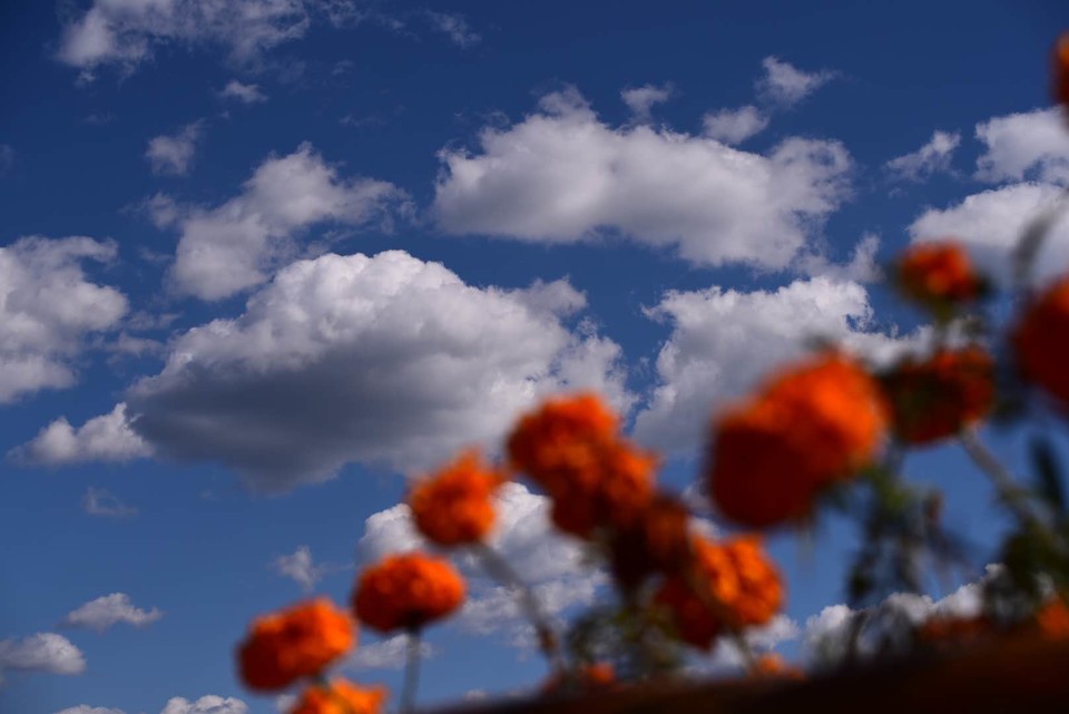 4XcOIGzRRunJKgtLdo89D1ae_mAOAkf02SXYY8-H_lf10nbSqnINFXSG4tZ8Yi7D