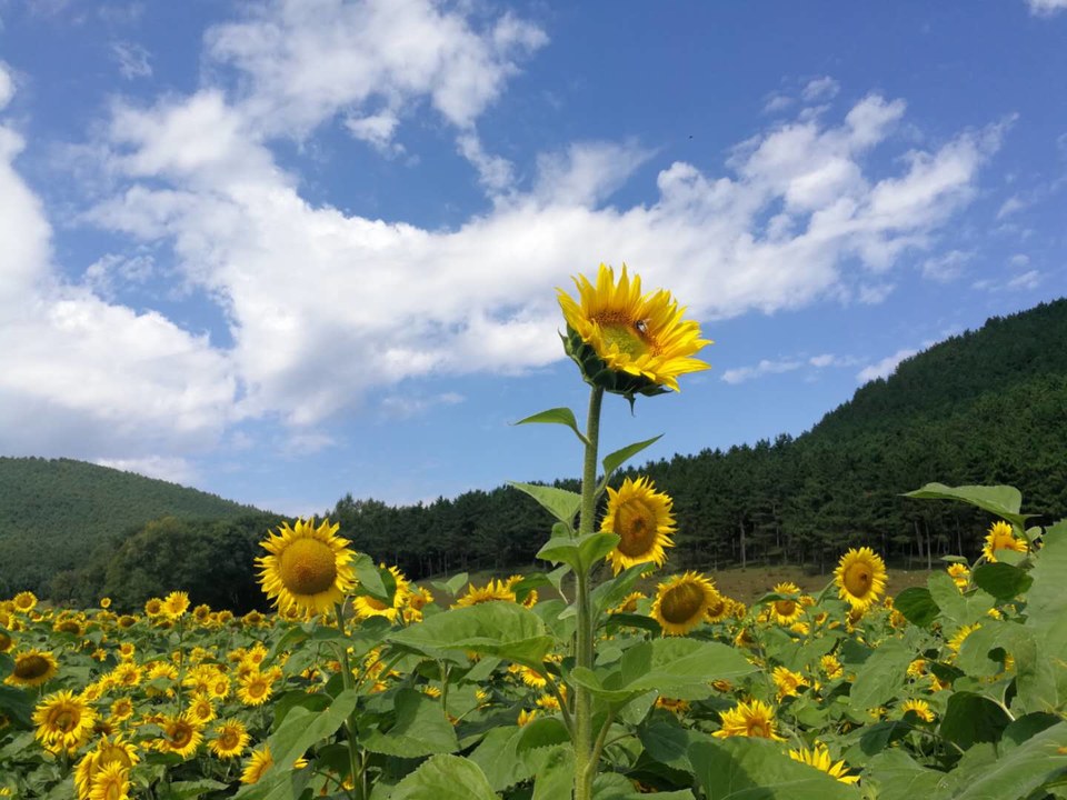 dMh1Tvv-FgO9Z8bqQPLaQwGTisBg875pa1bwWTKfiziyY6nVuQpdyy4ktXV89y4K