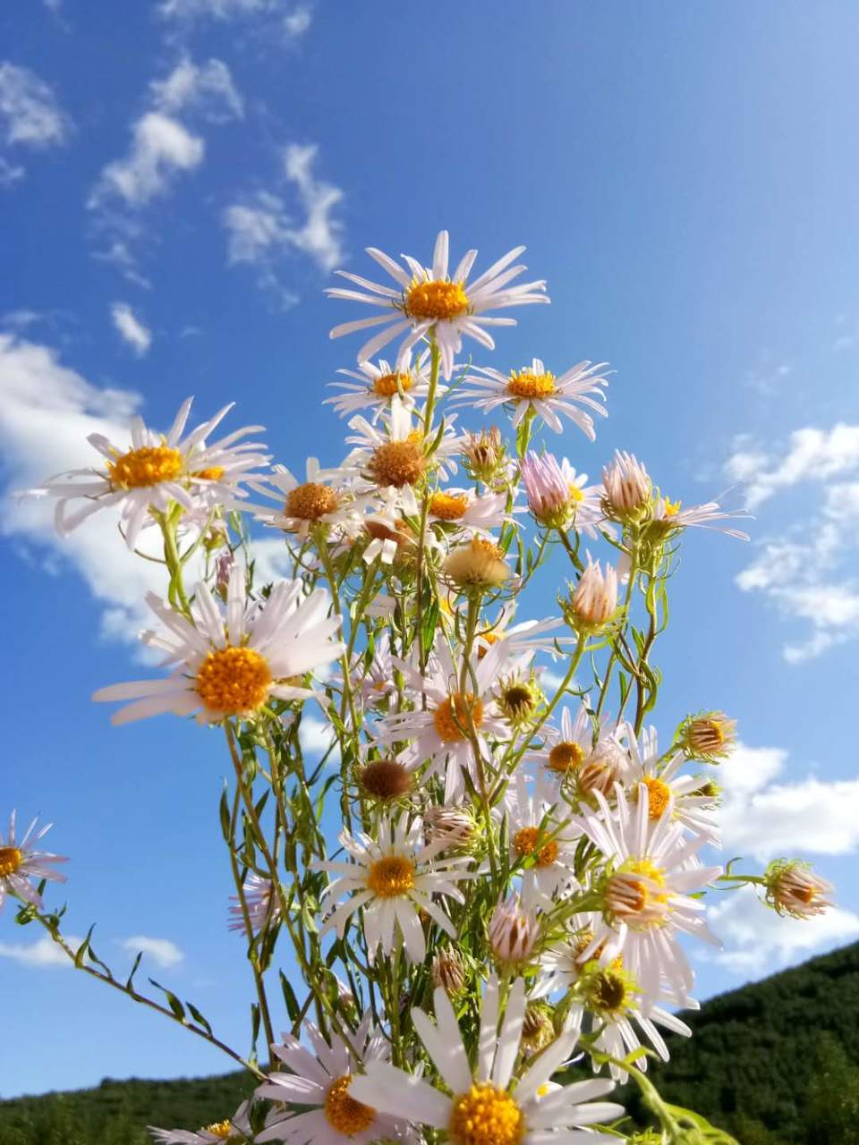 TQ4wWr14vPY9J4Aj0SFLs7hiaRoL04RNBWkzlP8dnLLB9l3X306IlaRA2Y2dCw01