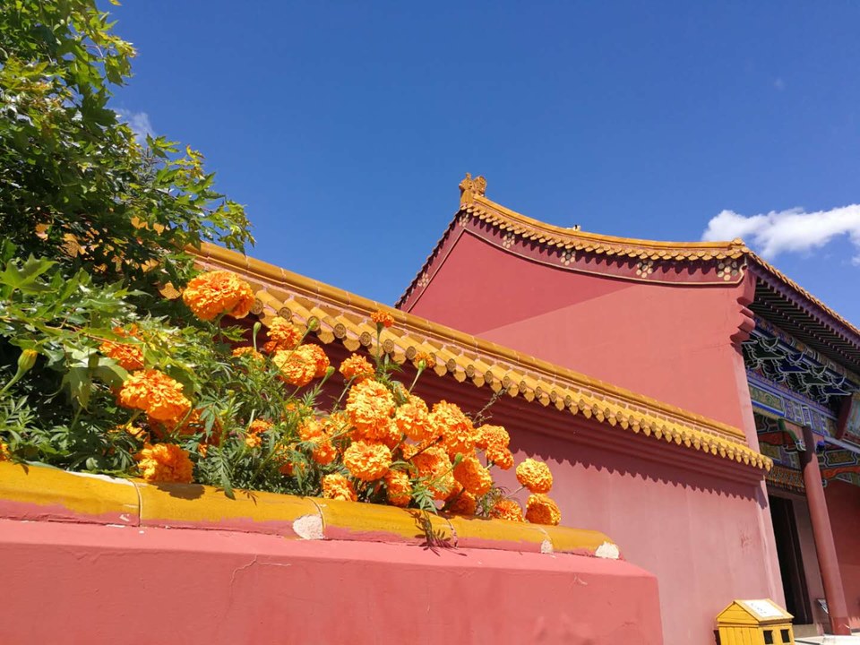 _dPUBAVoqqJCop2pr7jZv3vCtUnIyhDKn2SN-o2ZMyiExOogr9sdAfj8f09tqhk7