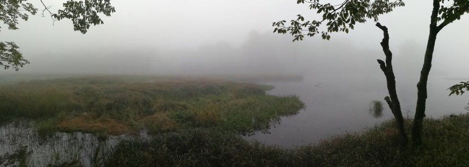 _HYLtE42eMFFFISHkEZlQ86w7jzdwuHN0_sa_owBLvmqipO1jitY4WiF0a_s01QY