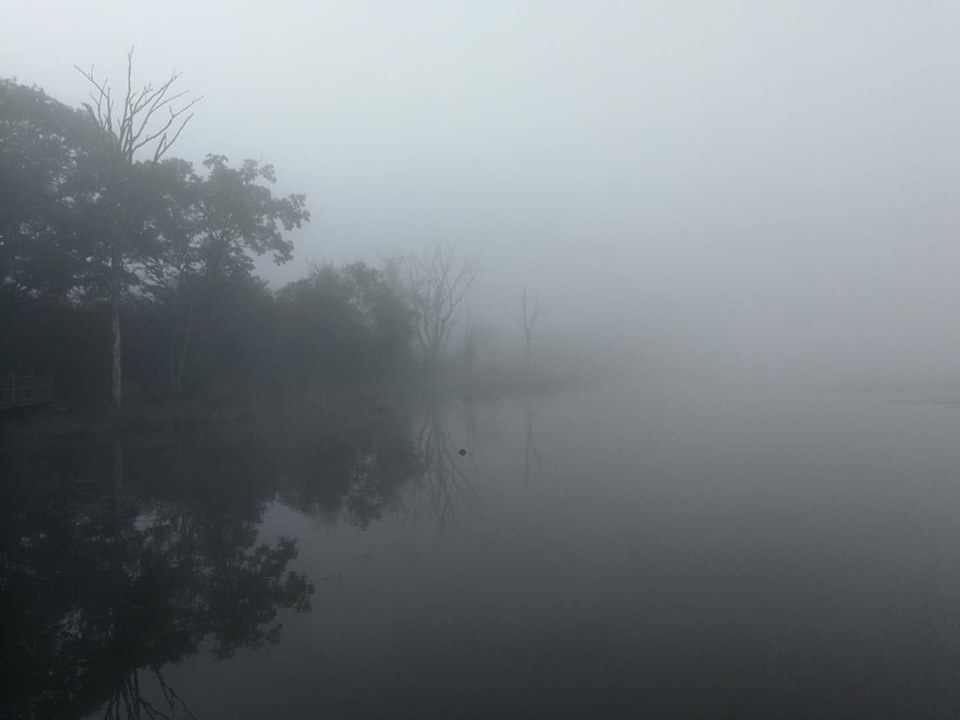 pgMuLC22knWZorKik--WLw9E2KqOYFy-e0Fd15wQyzjeDZtTiZPdYPyNQ5E7gkH0