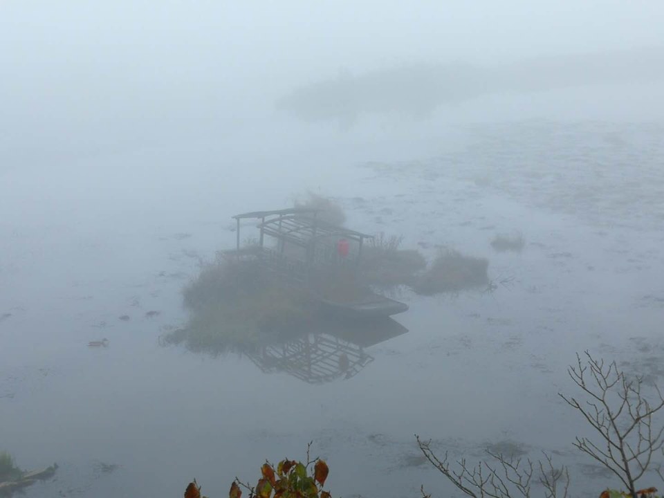 C0eJvisZf2T7MJdQ2q5BHv1e-48--SvudRacc1cavA9eoc1d39GT9trDm3LZT21o