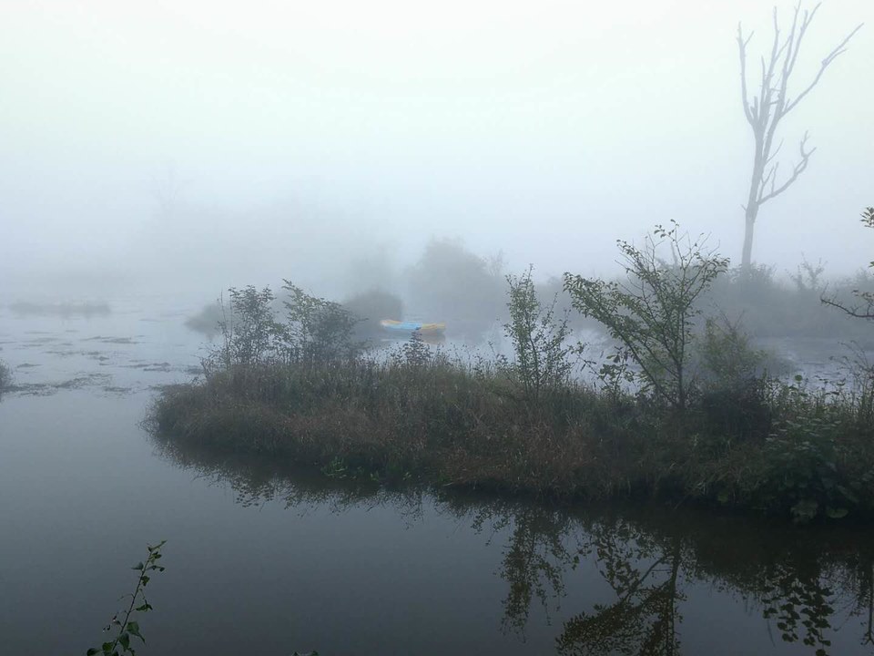 5GL0SdnvxcalRxQk_GKZ-E_XorB_RkjnMtKCo8HDMaI-jrmNEWMo9-xKvhhRTSTC