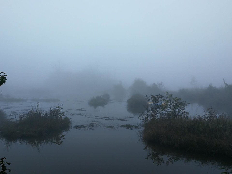 qJ2Nd0jzrKWaAqfp6haPZAczm1cRT93W8x0BprVwEc8eRsjI5ZkjWf3uG18Xb2v6