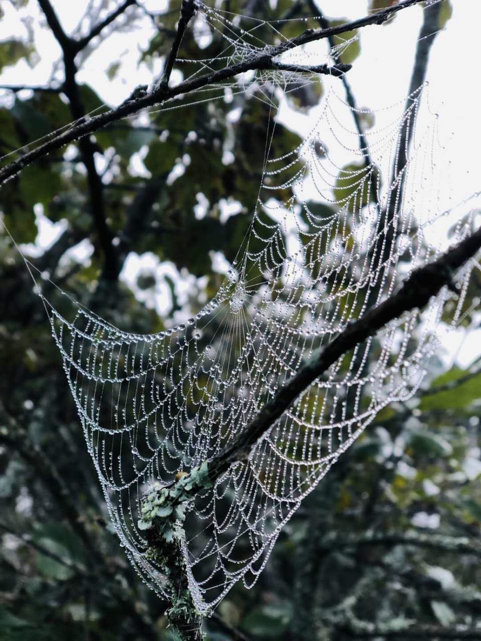 NpA3ZLJlk-LayxKpm3ufpvcH-m02u_77xIqpEP9b8DRvT11oK0Mf6iokEX4XLOSI