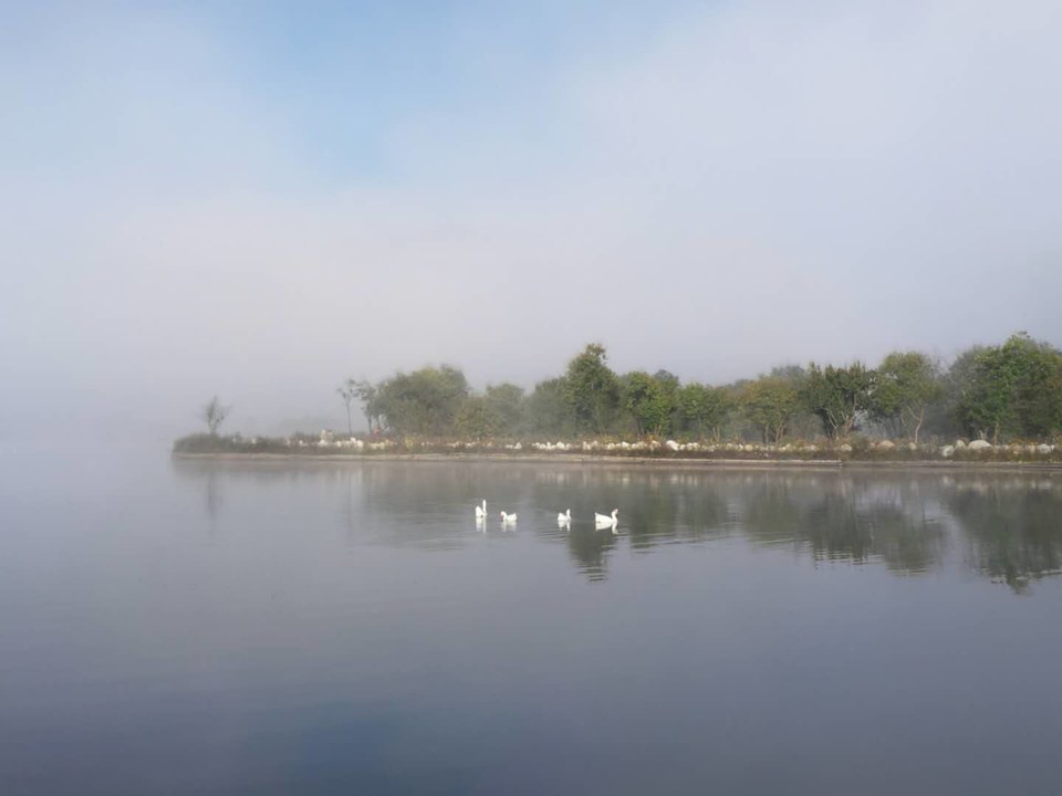 GOAHilq2i-Toq2ZiAoMmLRcxNF1f9-uSGluQdIrZH1AqpnlhLgFk40e9TMR-EBqd