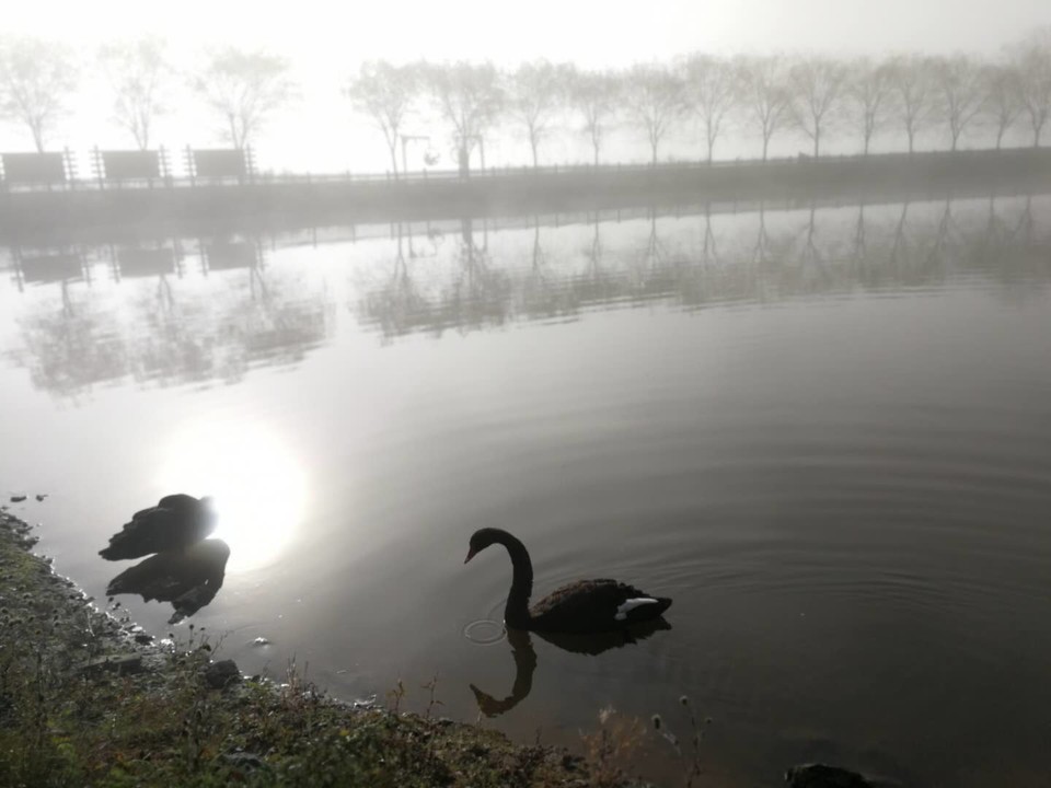 tnz_AoGmncdE5_-U-KrQVh6Zl0X3ErFAib4HZUlbxE2_vlvf4N8EJtJUDId4t12I