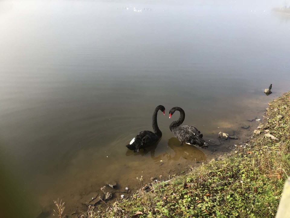 HHfCvuKPzx2WWHcCLaIDkjCMJJnS45cRzmKc9uF5bIAhSdOmYNhYhngQUtq6Tr2k