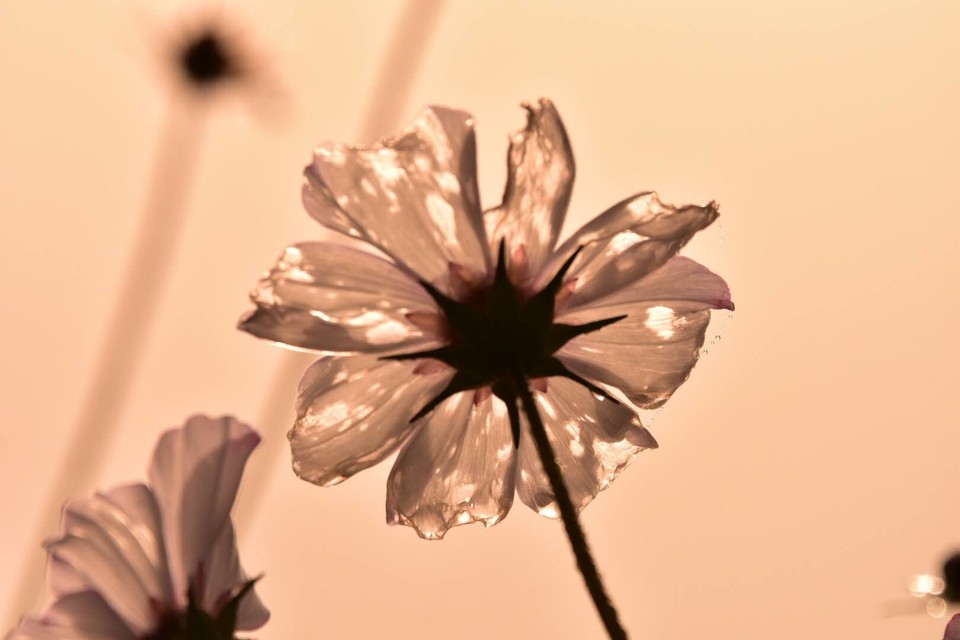 Qeqb2VqOa3sEDQxzO95KVmT7xFcSY1EBitqLO5DRHDDLvH0MsVjEOveuVr1ku8Vi