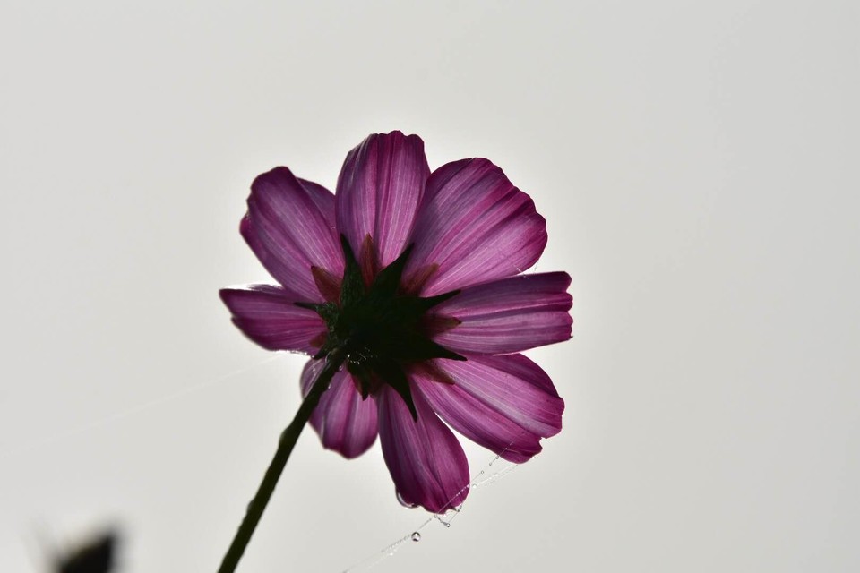 VqPAS6E5X-v5rlrd0orLdDPmWNIm_xw6mEHrbDbFhxgPn2oMwKKWDJsRsxPBfO6f