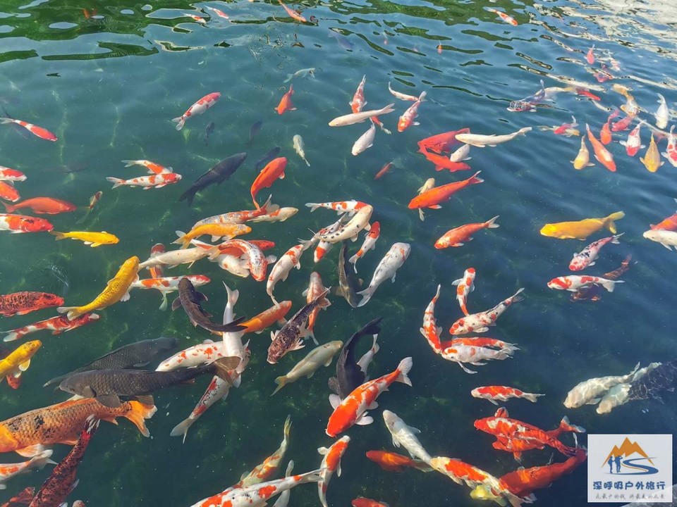 rmptf81cjNRC_YX1VglVYKqlRj68gBu0_Rq6FwDbx6e4GEwA18zP_hD6B8NLxQNV