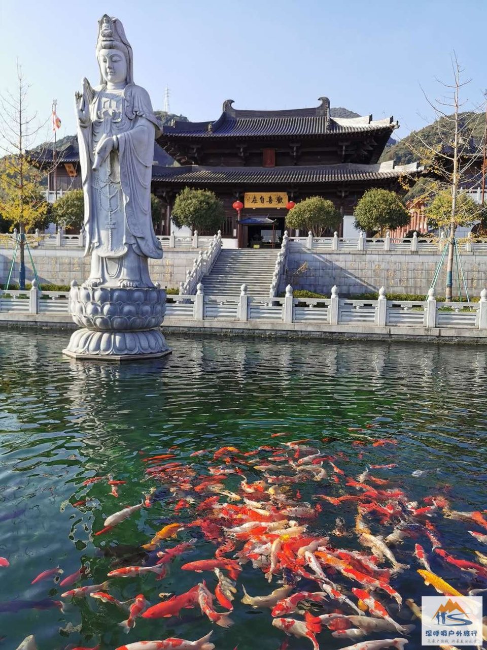 U0VJR4VVsanAWtWjLm_czZZdRoovc7aO6fzsXwDzS3PkWwXJMATuPamoYfMCzh6V