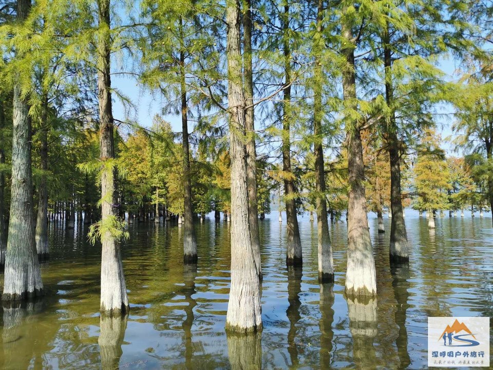 s8RAwQEpPGSGZumOE90ziYZ-6aeA90R5Aqv5m2S6lLiJrHtJYBF7rBCiTEoOEBvy