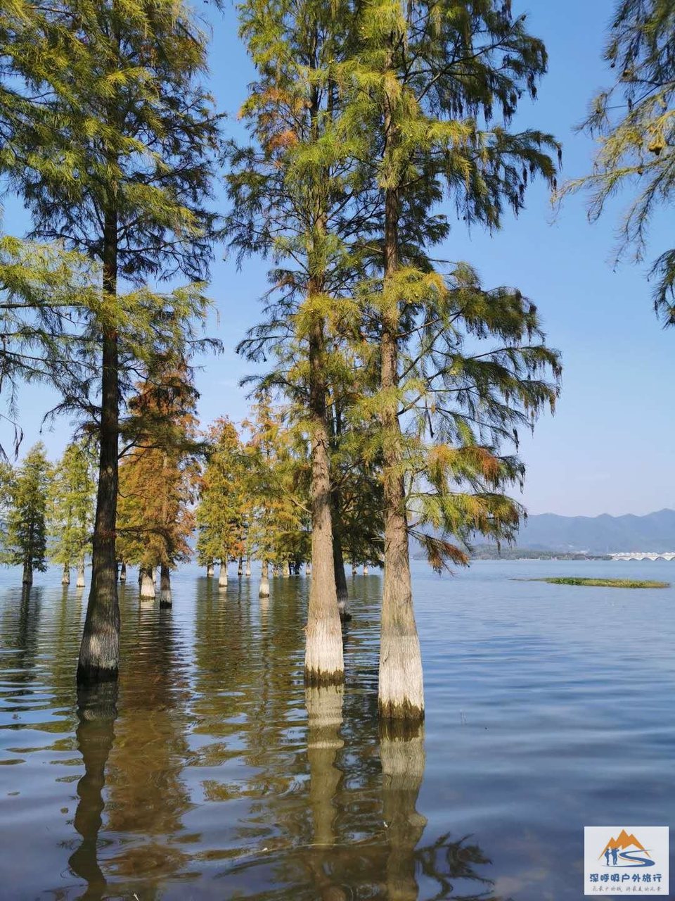 zVWjaHWFhiAW8ZNKwEuRsDBRpAPhwn0AdmLixFrjTtyR3KZ9w155LYfvyw0R7fBE