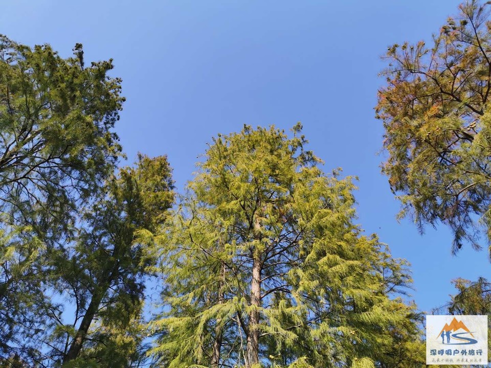 Y5PDYw1fbZPPmUFBYpkNHXN6FlbAUWooDUSmkyaWNsn3h4T98yCmq-c5GQ8xPCKm