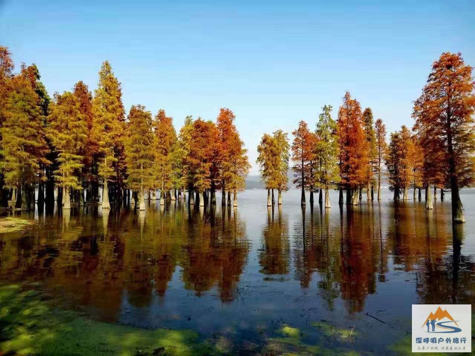 pG9_m7G5fk6lMT45zHI4A_ijcY3c2zvuMEUWYuoirK0ViQc0ftzRPF8joN_q9TgY