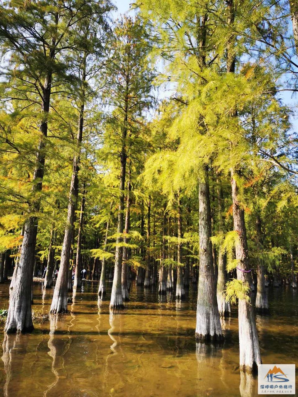 uz6WZE1kidaalO0XUi_hWQe64K_Mq8vHJl8CRdSPmgOOU65qwEfnfH-UGMXr5o_P