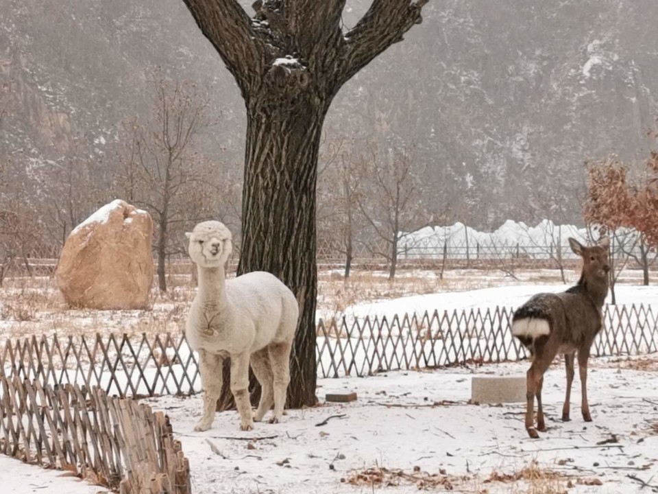 2IVokvG3sIxTIW-WVyTnWv3YyyQHgrNbW8RxUEYAgqycTFn6w-qKgC1OkNJIhce6