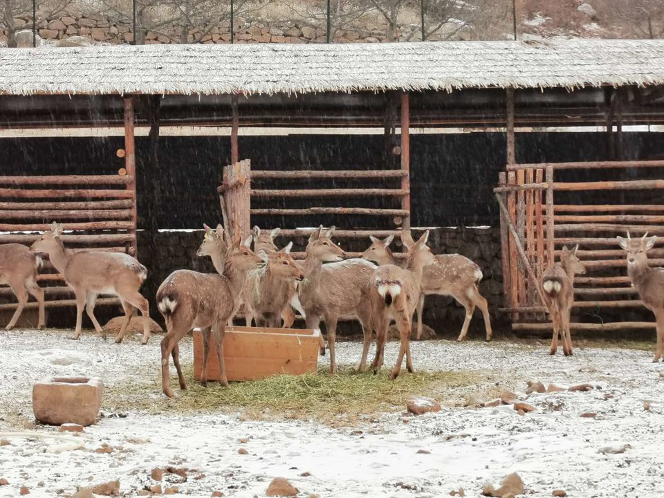 U0VJR4VVsanAWtWjLm_cza_n0lISZSB1j8caX_SPaLYpHFX1wVLHSXm2Iou-UEK2