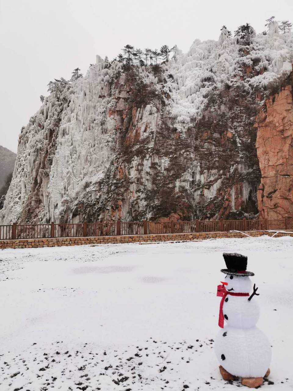 XsrNJ10Od1Dv9zXNMC17eSuVaQcWJA2U1YSDNd-XtsdNfGD576HqlYTiB9TS1DN8