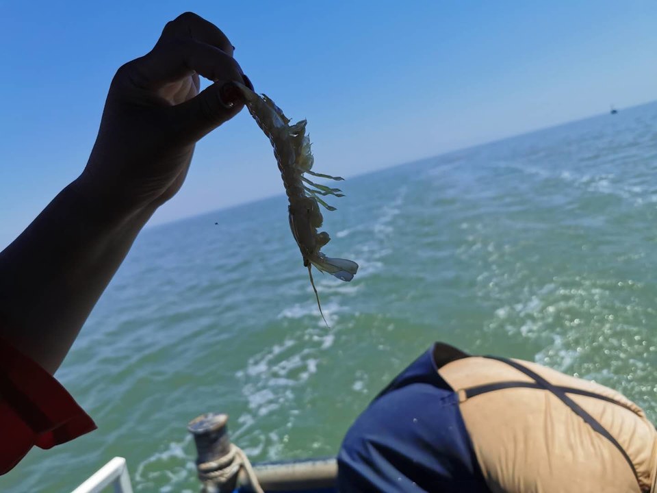 wyX-sjoPu1yXzAIMksJM-LCOZJ60KAzJO3R_FjMWb_qb7piaI0c71XjjM1FAPNer