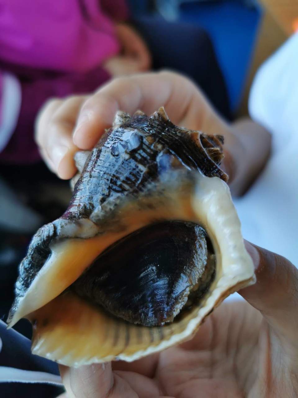 VTdq2pqWjevt6MFoqdmhgDEChSX_A4QVY4EmgtOIfJ8kVmKvzr9zP_4Brz5oh218