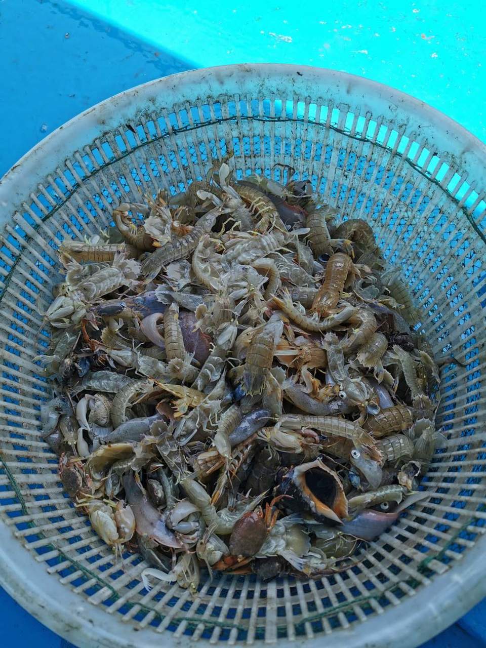 GIXKVvvEUD0CDLtdLQ_SaQGnPM-D9SCiL6MFwtkKAMKPo9GDtuLdkvHBQNj8N2yC