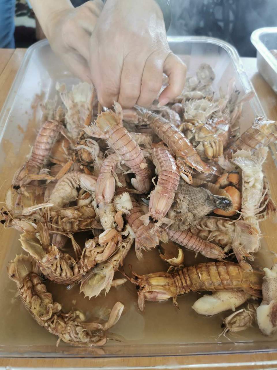 m7LfPKvH_m58SJXCqRBhUykwPUEyHdqRVtO26IZ7cw3qwojhkb46Q833Da-iBX1u