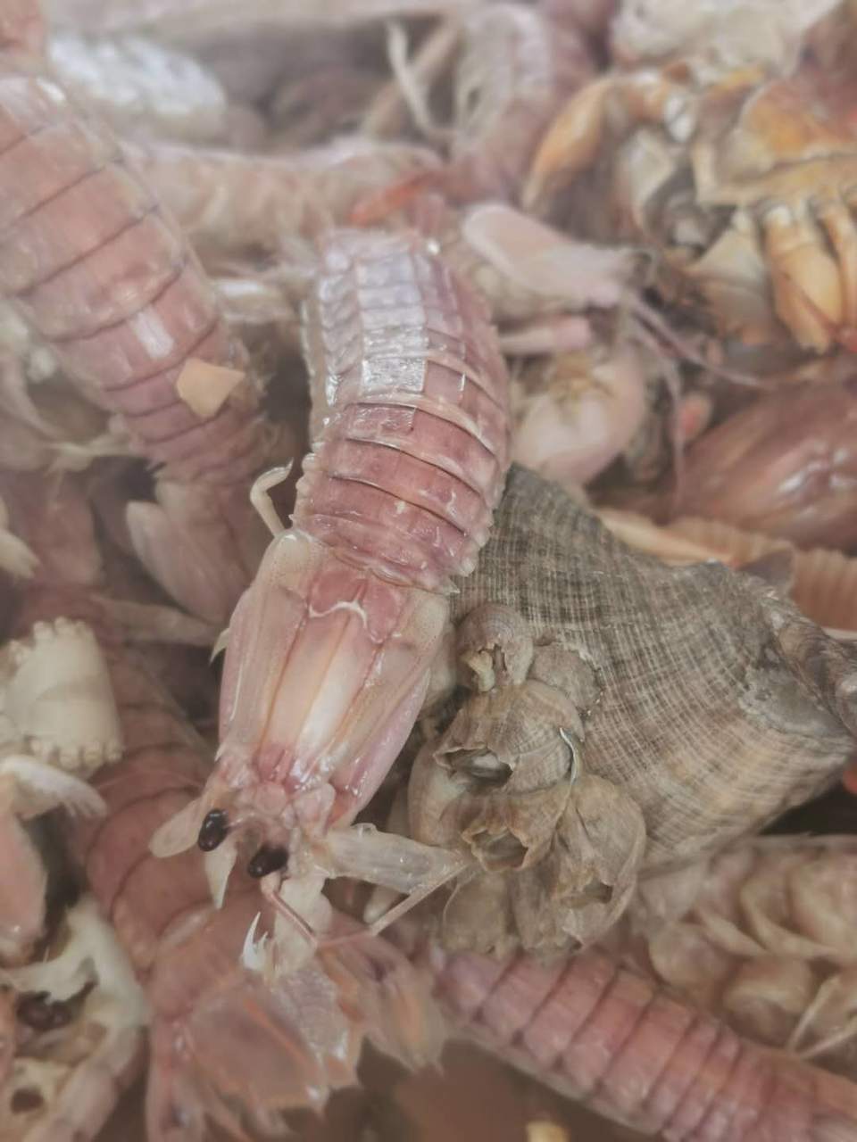 MQBYcKYt_q3FrCiOrojpO4d8imbDeWCPw8w580EqzzpIdpz-IubkKICX4nRAgyS5