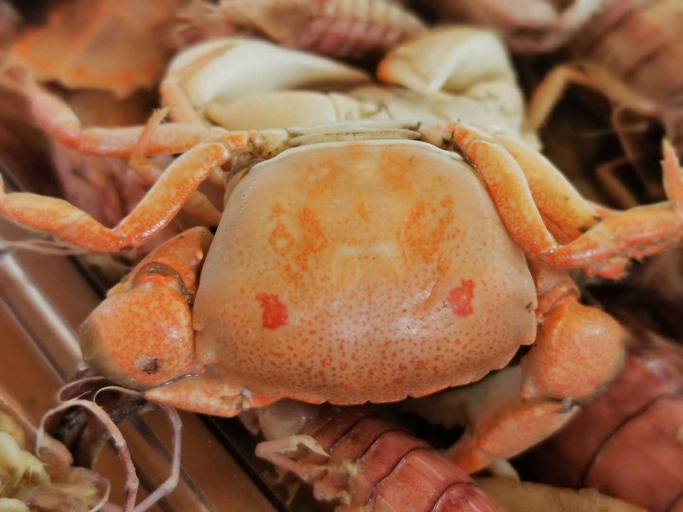 ugPVuDb1uBVCWSJAbiwzfR4tT6RQo9gaHxoxwlW-E5wA3j0ps3wwzp2ViZLw0IfR