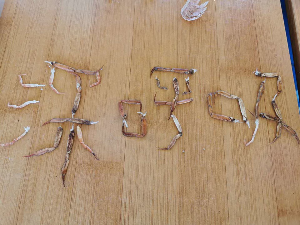 kryrS6d9TfRV35Vz1R9SHd_u3I1NMB7SYXWber42WNyqAROqogsBYYConOmPTeMg