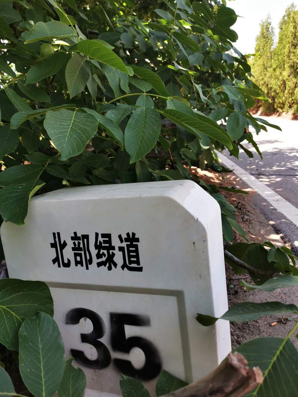 g-eeIvL5WLvsZr-riBCIiUFO0OPRHsON1RgHuBXsrq-NDLFHXOIq3lELDXqVDP1S