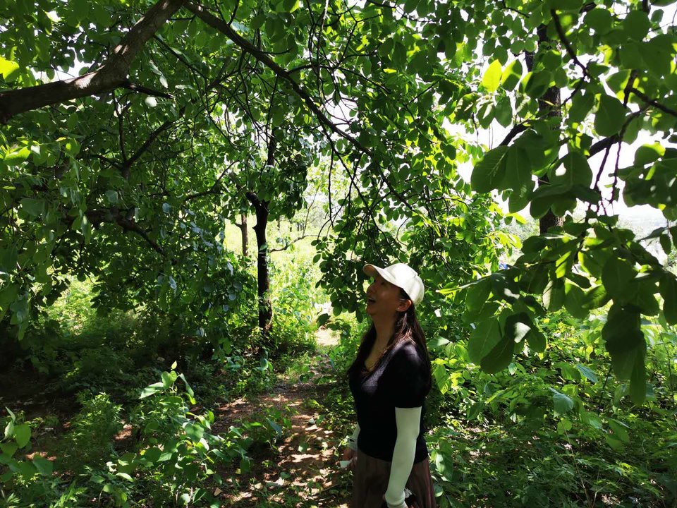 F0q5HaZfnJ-HognYSvOQY6mRaQBP_MXvfVuXW8K_5oIFC6cvLT5MM405e5U1XHDn