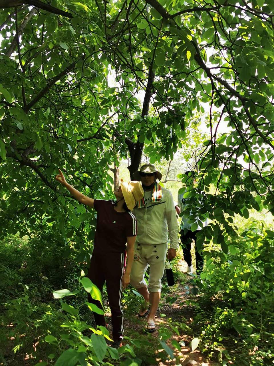 tHuK0Uyr78S_AOG3K0jqOrWibv25pn3rMAbUbO72hkNDD8F5dFXRl_d1VPyMqdtm