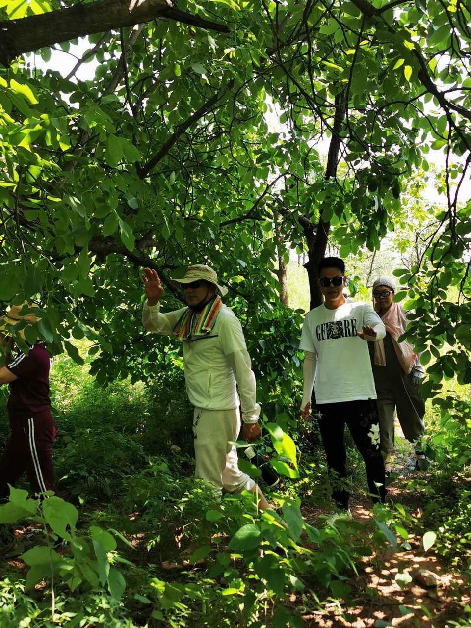 hKDYaYlqgmE76UVou5iCp4Cwj-ykxc7Lx9xbGtUwqZDL_-g-gppn1D4bRoDTB4Z0