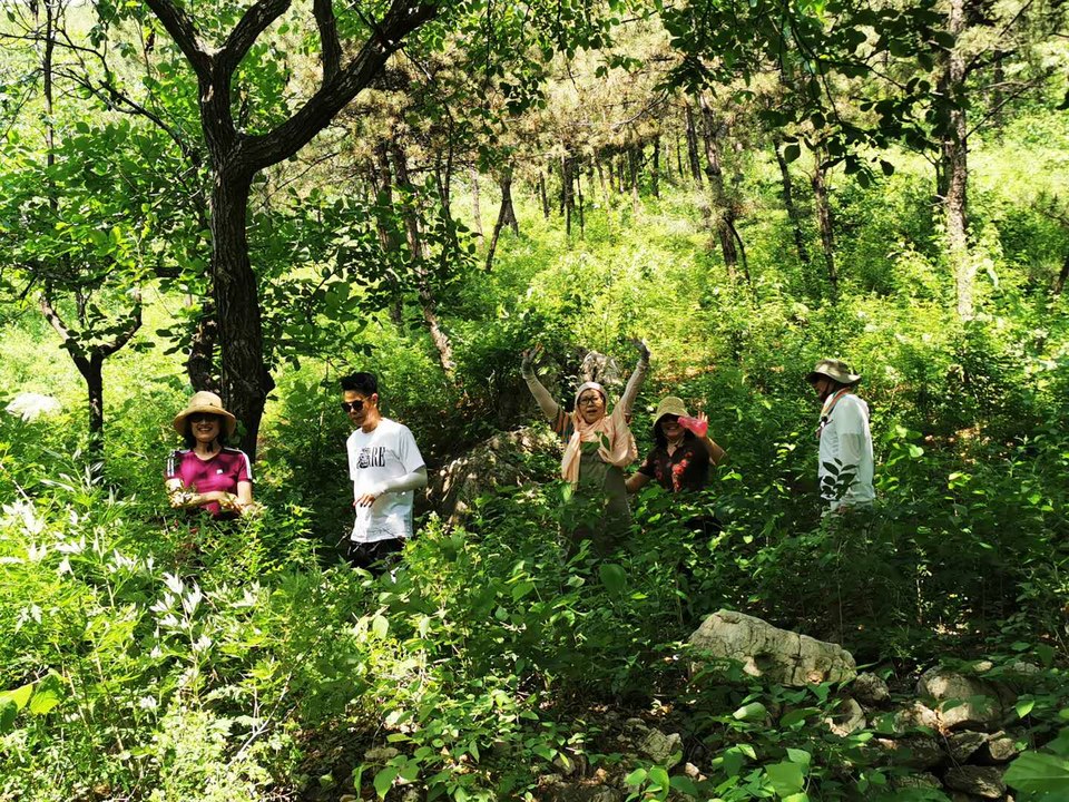 o1yjEPO6_yX6brCp46Ts0cLdTvXIu0iLfxoxjWkadIX2ubvSPi3e0c35DfsbAr0a