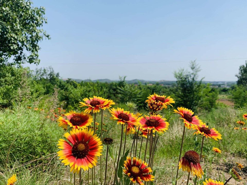 I8SI2y3xQaH9FzYj2K-tS9JF55XLrsVVKuRQuNkDFat0mws05D_7NXjiawH-qN69