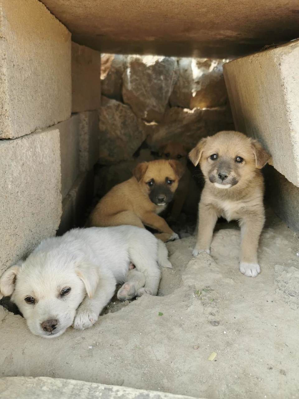 VSHBIGMpGWtHbBNJEQG3fCMuP8WWLlZznBmlIE1pCWDyi6ZbGeLbTHCMOGGkC5wz