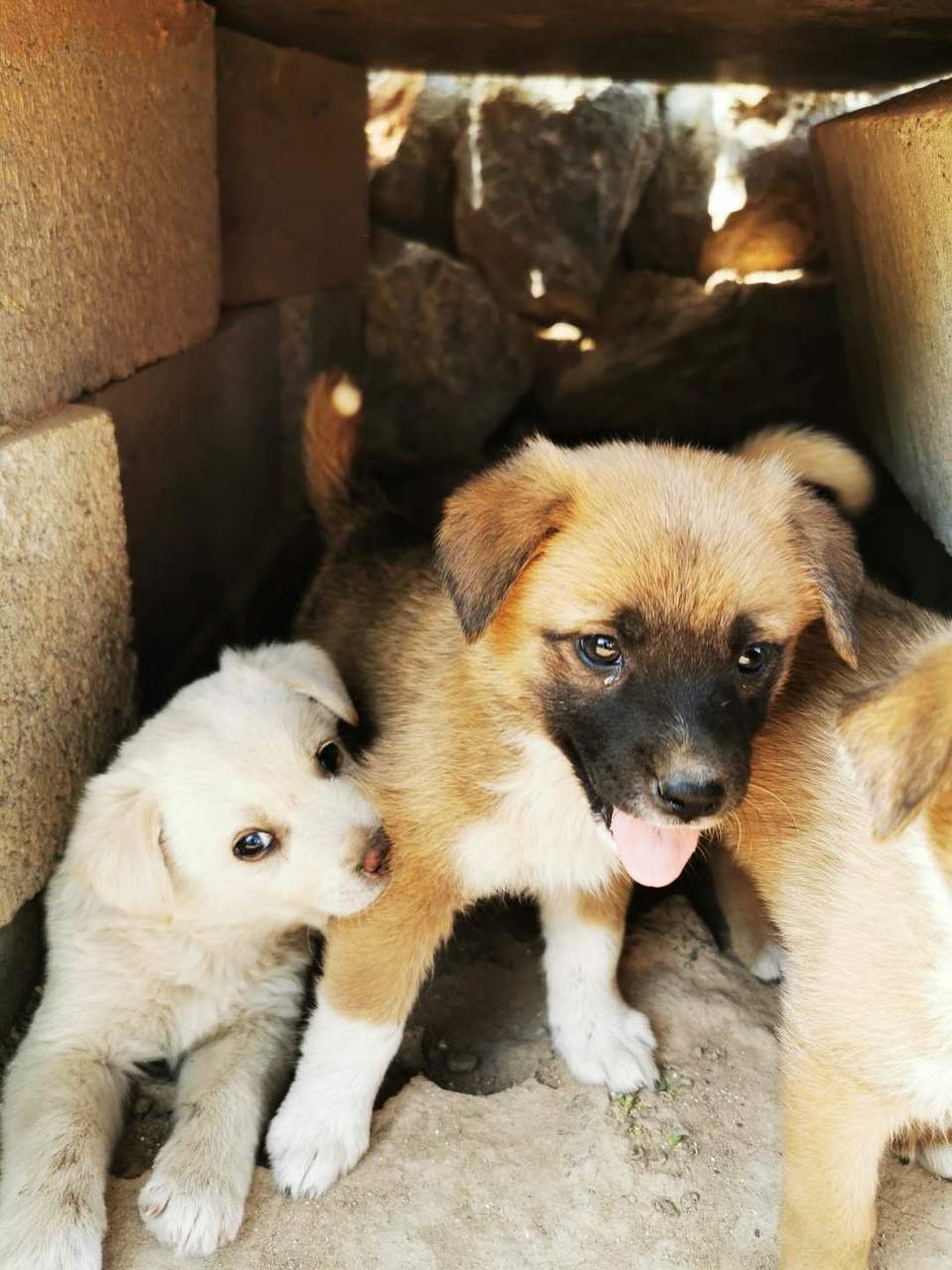 nzPxyBTSYb56LsmbM1OrSqqQg4ogx4nTDH2a46KdeN6mKg2HzJCAj0TVBhHmqJbM