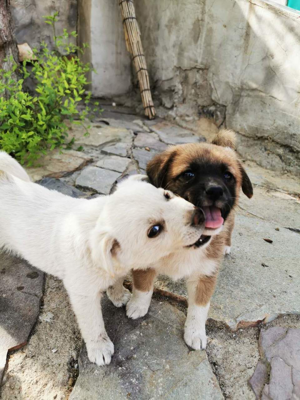 GTuDVN2POHJ3inCOZJn_9ESKo2LVNsXmATMg0FHO_sJjGAbx8yzn6K3kFUZ8dAeS